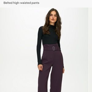 NWT - Artizia Babaton Power Pants.